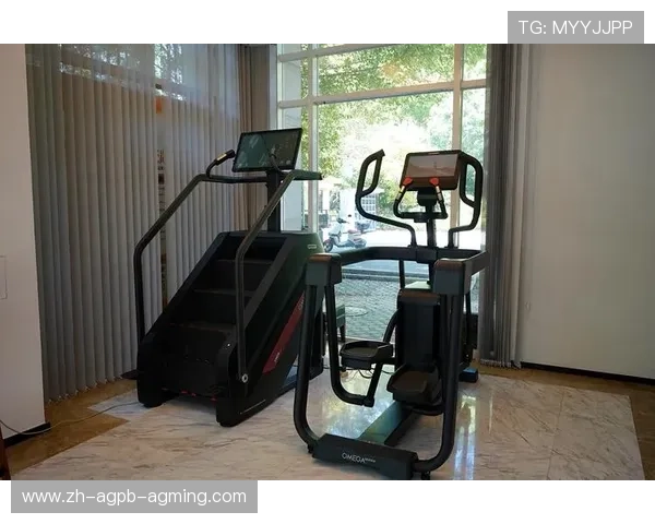 广州健身器材厂商名录与产品推荐