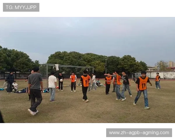 足球训练中的个人技能与团队协作