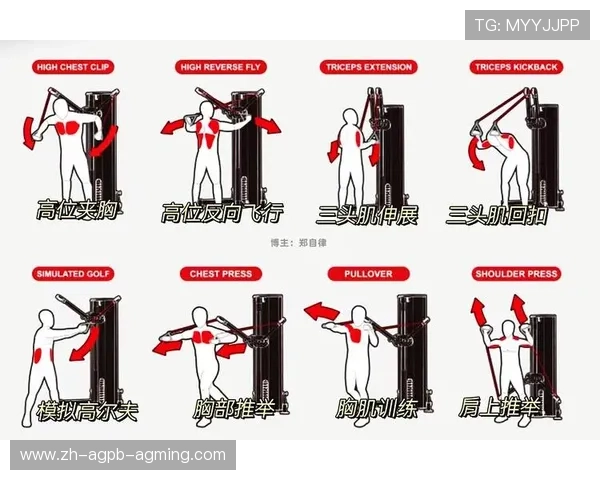 零基础居家健身器材入门指南 零基础居家健身器材入门指南